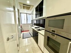 Angullia Park Residences @ Orchard (D10), Apartment #462997151